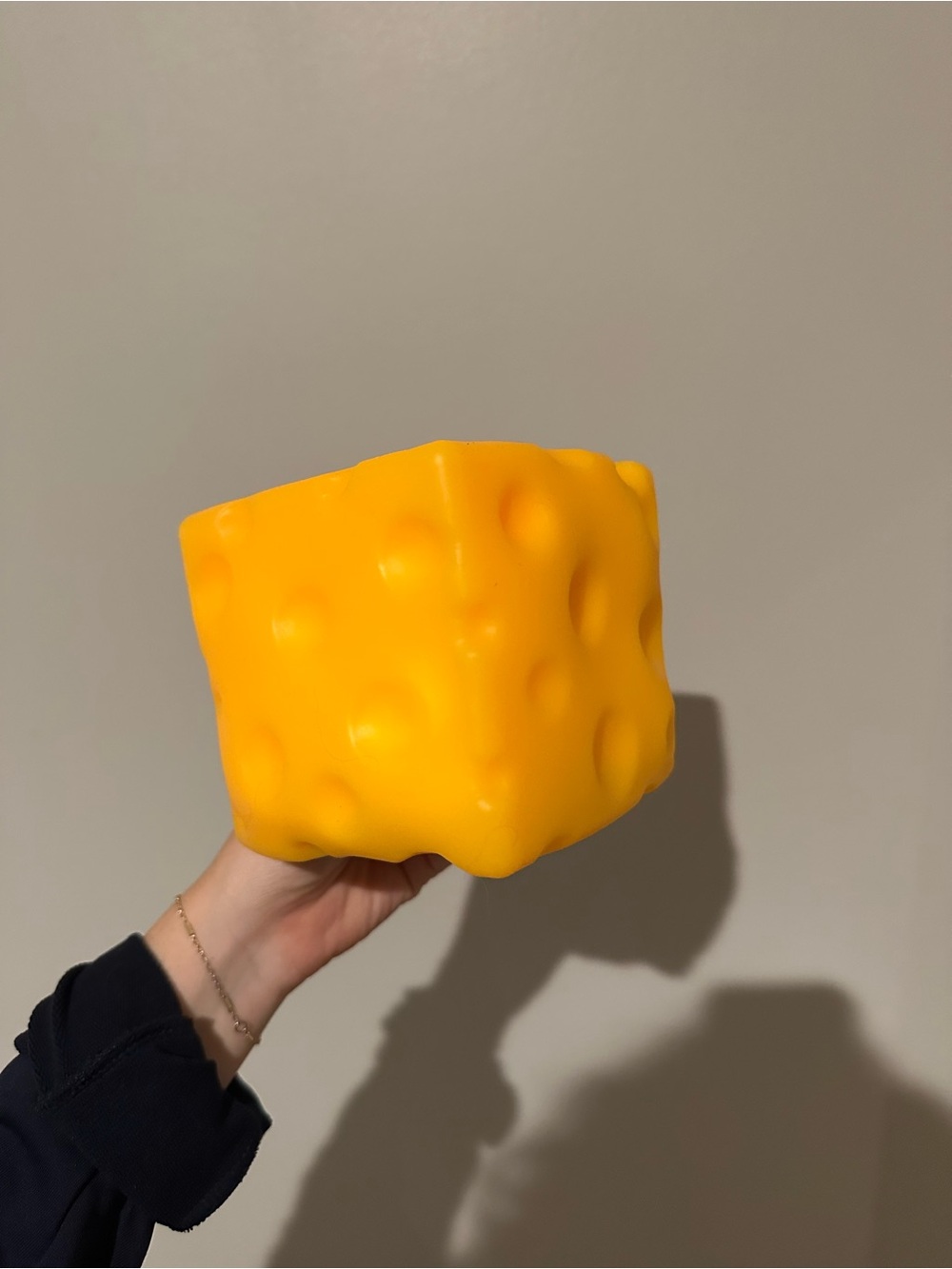 Large Cheese squishy